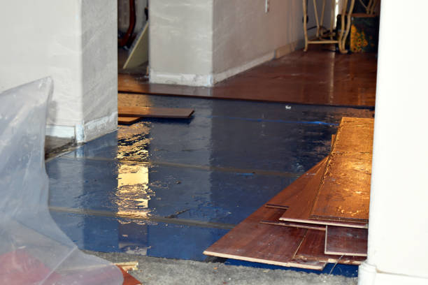Professional Basement Flood Cleanup technician working in Banning, CA